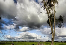 天涯神贴真假难辨？老司机带你扒一扒那些年我们当下的爆帖八卦。