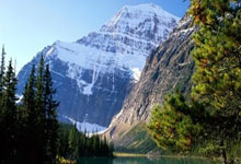 天涯神贴真假难辨？老司机带你扒一扒那些年我们当下的爆帖八卦。